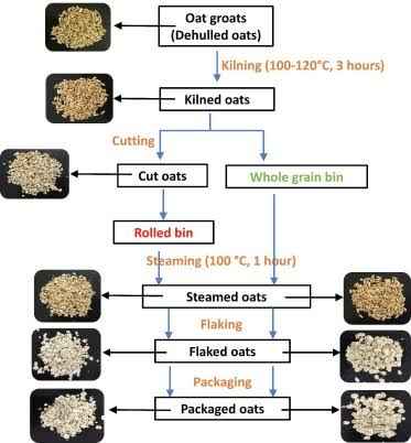 Blending Oats vs Other Processing Methods