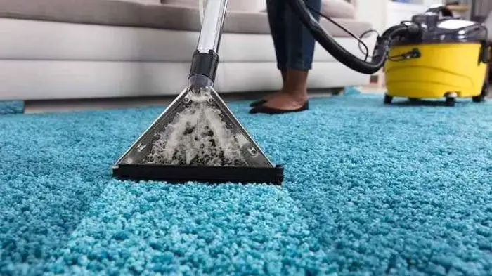 Effective Carpet Care Tips for Homes with Pets