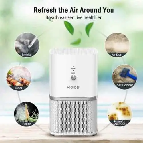 How Air Purifiers for City Living Work