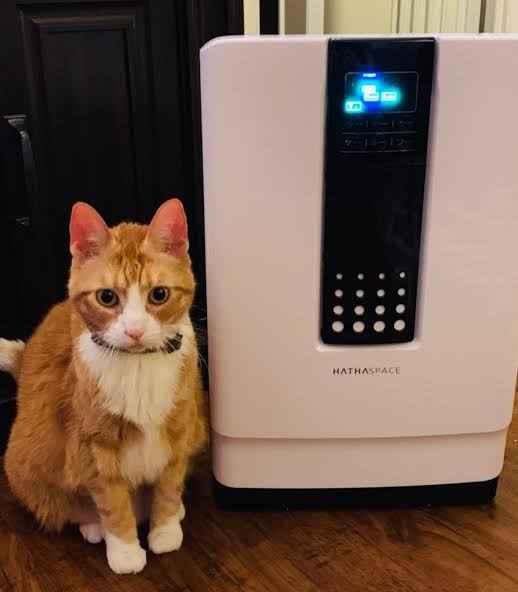 How Do Air Purifiers Work for Pet Owners Air Purifiers Vs. Air Scrubbers