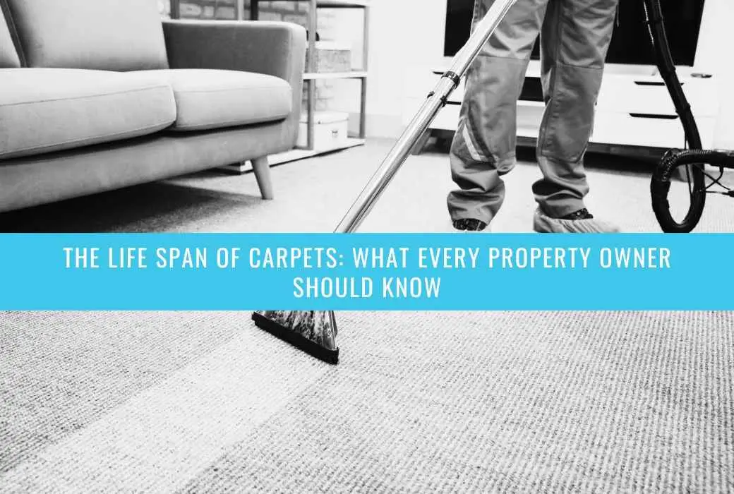 How to Prolong Carpet Life with Pets