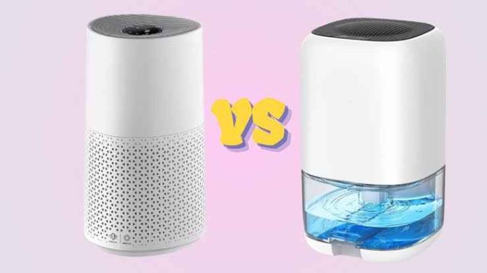 Which is Better: Air Purifier or Dehumidifier