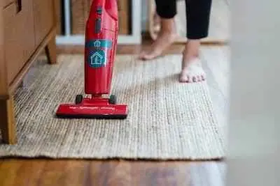 Why Dusting and Vacuuming Are Essential